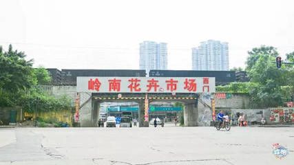 芳村花卉世界 广州水族批发市场 第4张