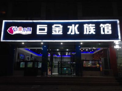 广州 鱼缸专卖店在哪里啊：广州几家提供鱼缸销售和服务的店铺 广州水族批发市场 第4张