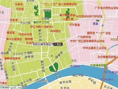 芳村花鸟鱼市开业了吗今天：芳村花鸟鱼虫市场已经完成搬迁 广州水族批发市场 第3张