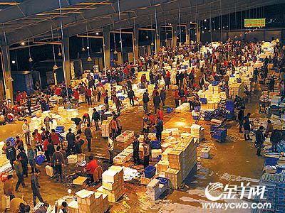 芳村花鸟鱼市开业了吗今天：芳村花鸟鱼虫市场已经完成搬迁 广州水族批发市场 第1张