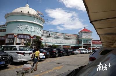 广州花地湾水族批发市场搬迁了吗今年：广州花地湾水族批发市场搬迁