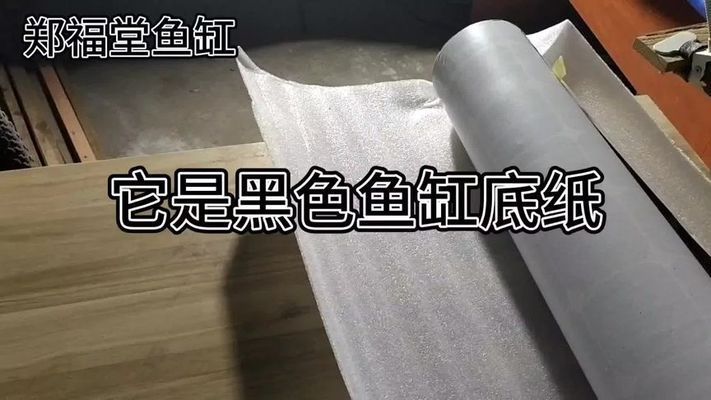 家里放黑色鱼缸好不好呢 鱼缸风水 第1张