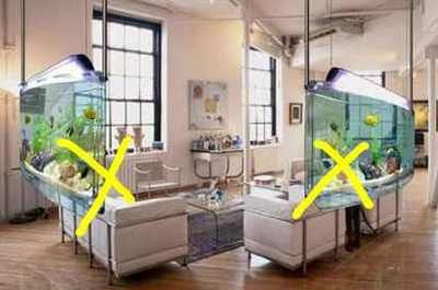 家里两个鱼缸好不好：家里放两个鱼缸可以招财挡煞，风水学的看法可能存在争议 鱼缸风水 第1张