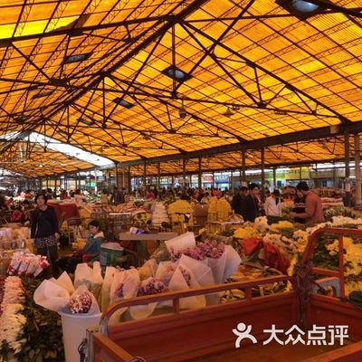 芳村盆栽花卉批发市场：广州花卉批发市场 广州水族批发市场 第3张