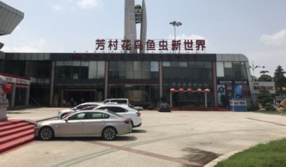 广州百艺城花鸟市场好停车吗收费吗多少钱：广州百艺城花鸟市场免费停车服务 广州水族批发市场 第3张