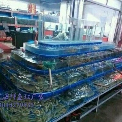 广州百艺城有卖鱼吗多少钱一条啊：广州百艺城观赏鱼批发市场价格