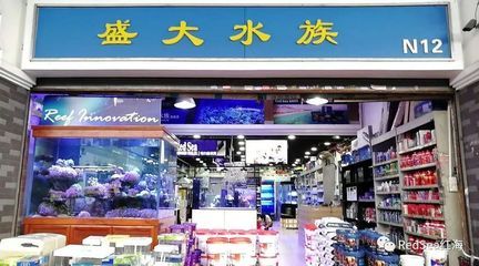 广州观赏鱼店哪家好吃：广州观赏鱼店广州最好吃的观赏鱼店广州观赏鱼店排行 广州水族批发市场 第1张