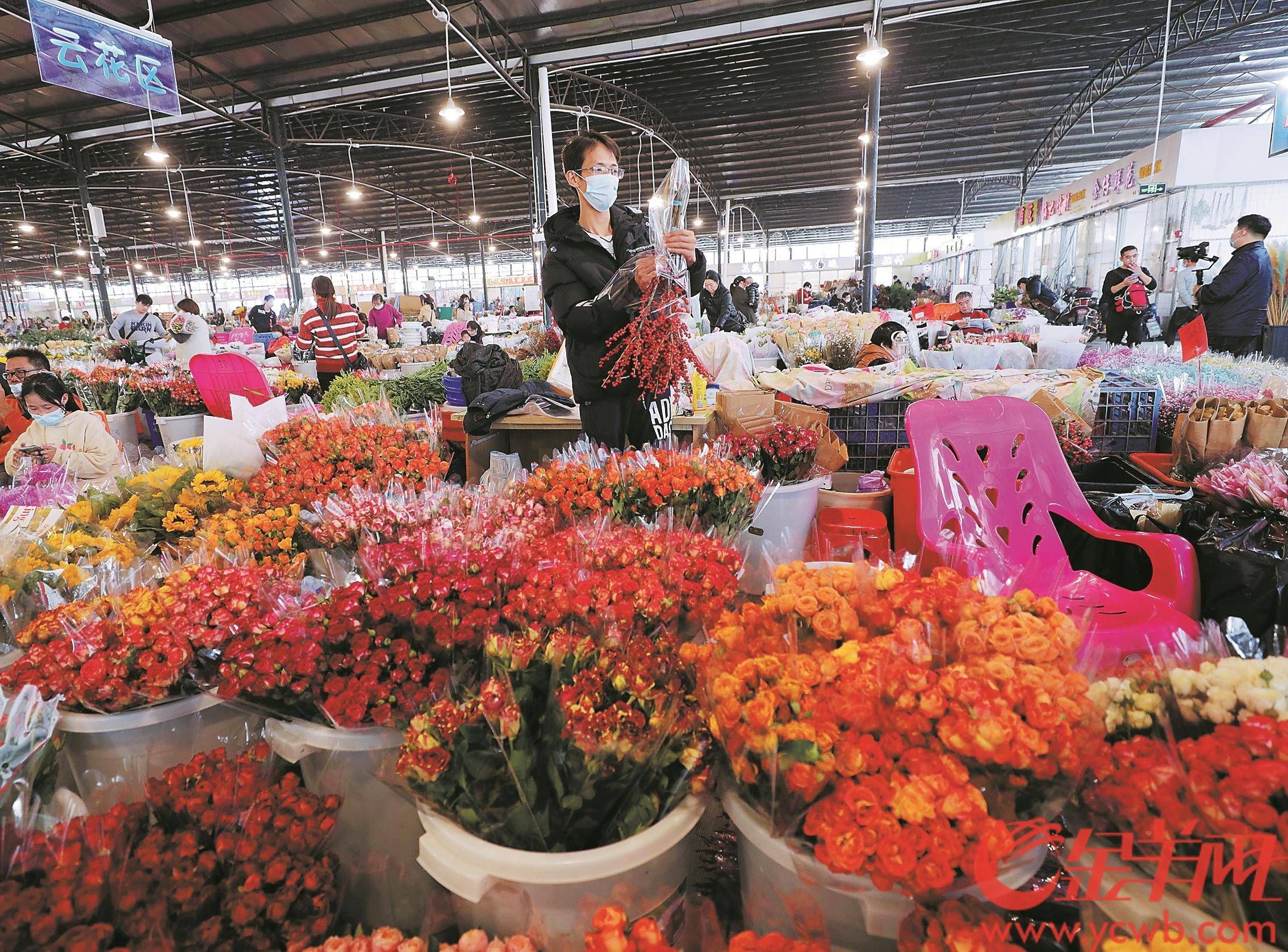 花卉市场批发广州：广州岭南花卉市场 广州水族批发市场 第3张