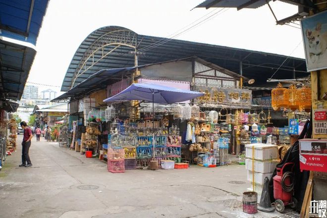 芳村花鸟鱼虫市场在哪个地铁站附近下车：广州芳村花鸟鱼虫市场 广州水族批发市场 第3张