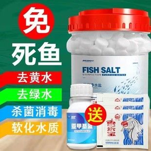 观赏鱼专用鱼盐是什么牌子：知名观赏鱼专用鱼盐品牌yee品牌yee品牌鱼盐详解 鱼缸风水 第1张