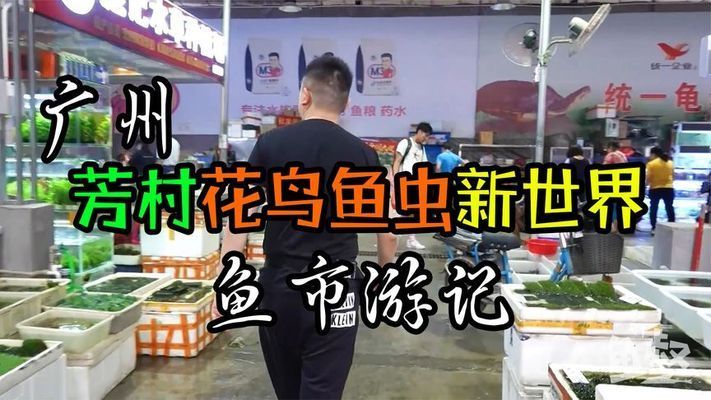 广州百艺城有卖鱼吗在几楼卖鱼：关于广州百艺城卖鱼的具体信息