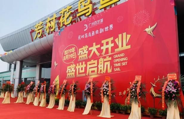 芳村花鸟鱼虫：广州芳村花鸟鱼虫市场 广州水族批发市场 第4张