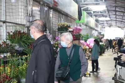 芳村花卉市场搬哪里去了：广州花卉市场的变迁史广州花卉市场到现代化的广州花卉博览园 广州水族批发市场 第1张