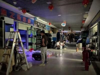 广州芳村花鸟市场什么时候搬迁：广州芳村花鸟鱼虫市场搬迁倒计时 广州水族批发市场 第3张