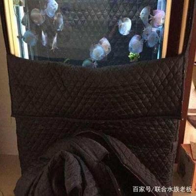 家里的鱼缸突然漏水怎么办：鱼缸漏水怎么办 鱼缸风水 第3张