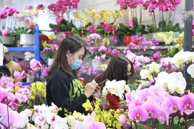 芳村花卉市场营业时间过年：春节期间芳村花卉市场的营业时间有所调整，营业时间有所不同