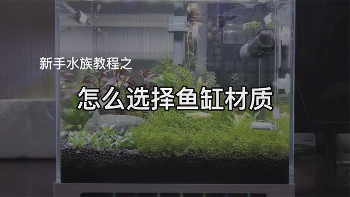 家里的鱼缸可以卖吗？：如何判断鱼缸的市场价值 鱼缸风水 第1张