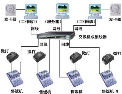 百艺城广场新花鸟鱼虫市场C265档口