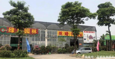 芳村花鸟鱼虫新世界属于什么街道：广州芳村花鸟鱼虫新世界 广州水族批发市场 第3张