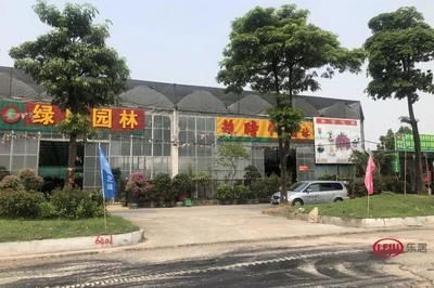 芳村花鸟鱼虫新世界属于什么街道：广州芳村花鸟鱼虫新世界 广州水族批发市场 第4张