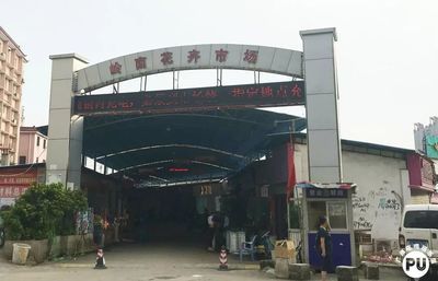 广州芳村花鸟市场几点关门啊：广州芳村花鸟市场关门时间 广州水族批发市场 第4张