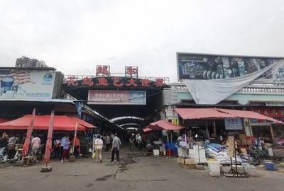 广州芳村鸟鱼市场在哪个地铁站出：广州芳村鸟鱼市场交通指南 广州水族批发市场 第4张