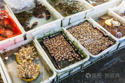 广州虎鱼市场：广州芳村花地湾越和花鸟鱼虫批发市场