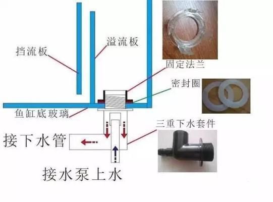 底滤鱼缸怎么过滤水：底滤鱼缸与生态缸的区别 鱼缸风水 第4张