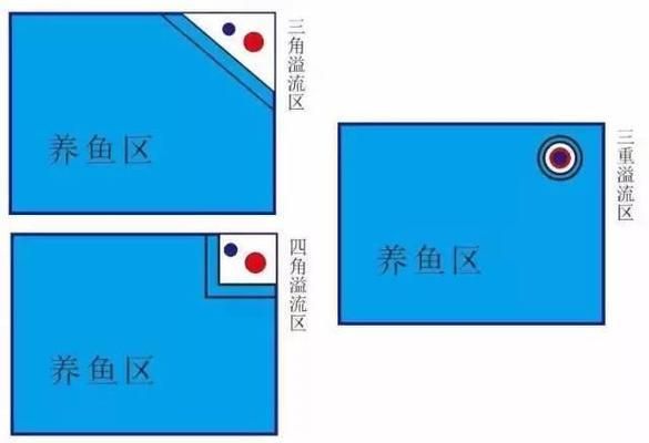 底滤鱼缸怎么过滤水：底滤鱼缸与生态缸的区别 鱼缸风水 第3张