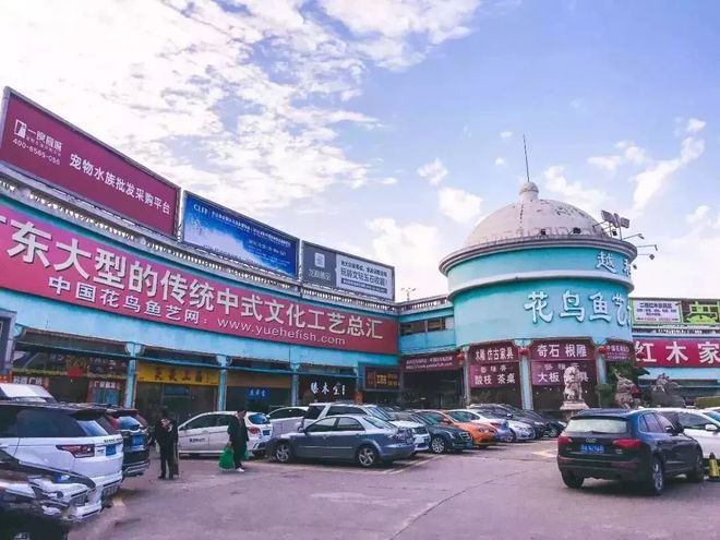 广州百艺城芳村花鸟鱼虫市场：广州百艺城芳村花鸟鱼虫市场已不在 广州水族批发市场 第4张