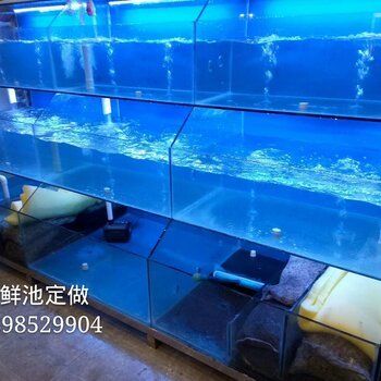 广州最大的鱼缸市场在哪里有买鱼：广州水族文化的发展轨迹 广州水族批发市场 第2张