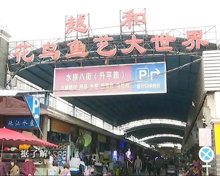 芳村花鸟鱼虫市场搬哪里了呢今天：广州芳村花鸟鱼虫市场已经开始搬迁