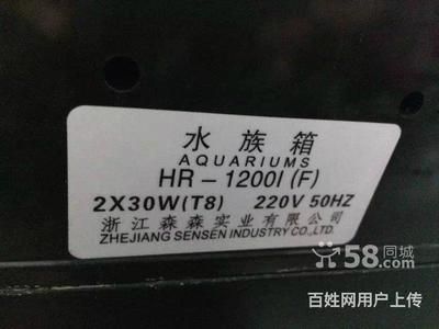 1米2鱼缸用什么过滤器：1米2鱼缸过滤器选择合适的过滤器对于维持鱼缸水质健康至关重要