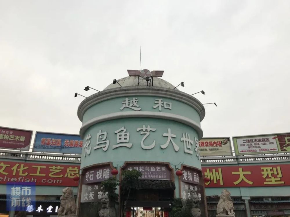 广州芳村观赏鱼市场：广州芳村观赏鱼市场在哪里