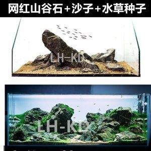 沉木鱼缸造景要不塞满沙子：沉木在鱼缸造景中的作用和用途 鱼缸百科 第1张