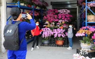 芳村花卉市场几点开门：28篇芳村花卉市场开放时间表芳村花卉市场营业时间表 广州水族批发市场 第4张