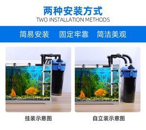 大型鱼缸过滤器哪种好一点的：大型鱼缸过滤器哪个牌子好 鱼缸百科 第4张