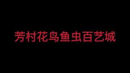 广州芳村新花鸟鱼虫市场在哪里：广州芳村新花鸟鱼虫市场 广州水族批发市场 第3张