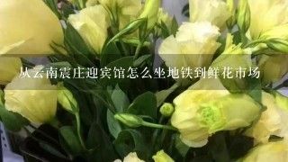 芳村花卉市场坐地铁怎么走最方便