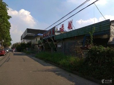 广州芳村花鸟鱼现在营业吗：广州芳村花鸟鱼虫市场怎么样