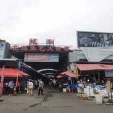 广东水族批发市场在哪个位置最好：广东水产批发市场 广州水族批发市场 第4张