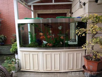 大型钢化玻璃鱼缸多少钱：大型钢化玻璃鱼缸价格可以从几百元到几千元不等