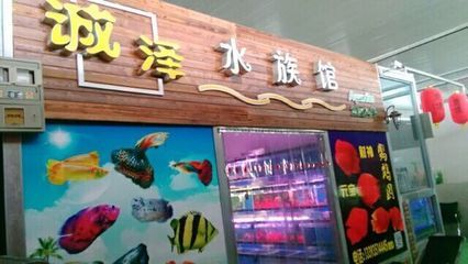 广州水族馆观赏鱼批发市场在哪：广州水族馆观赏鱼批发市场 广州水族批发市场 第1张