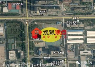 广州水族馆观赏鱼批发市场在哪：广州水族馆观赏鱼批发市场 广州水族批发市场 第4张