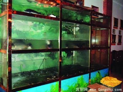 广东鱼缸批发市场在哪里进货的：广东鱼缸批发市场 广州水族批发市场 第1张