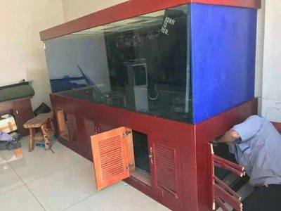 广州搬鱼缸去哪里找人搬的：如何选择可靠的搬家公司 鱼缸风水 第1张