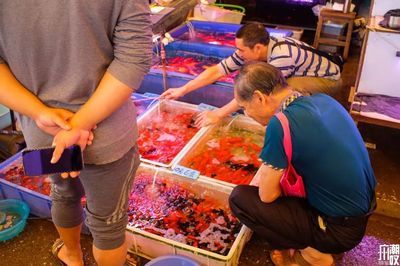 芳村花鸟鱼虫市场几点开门 广州水族批发市场 第4张