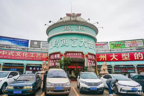 芳村花鸟市场在哪里有接送小孩的：广州花鸟鱼虫市场的历史历史演变 广州水族批发市场 第1张