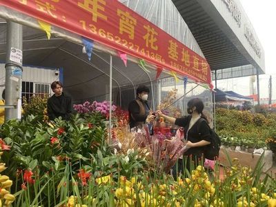 广州芳村花鸟新世界春节开吗 广州水族批发市场 第1张