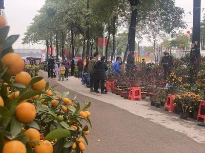 广州芳村花鸟新世界春节开吗 广州水族批发市场 第3张